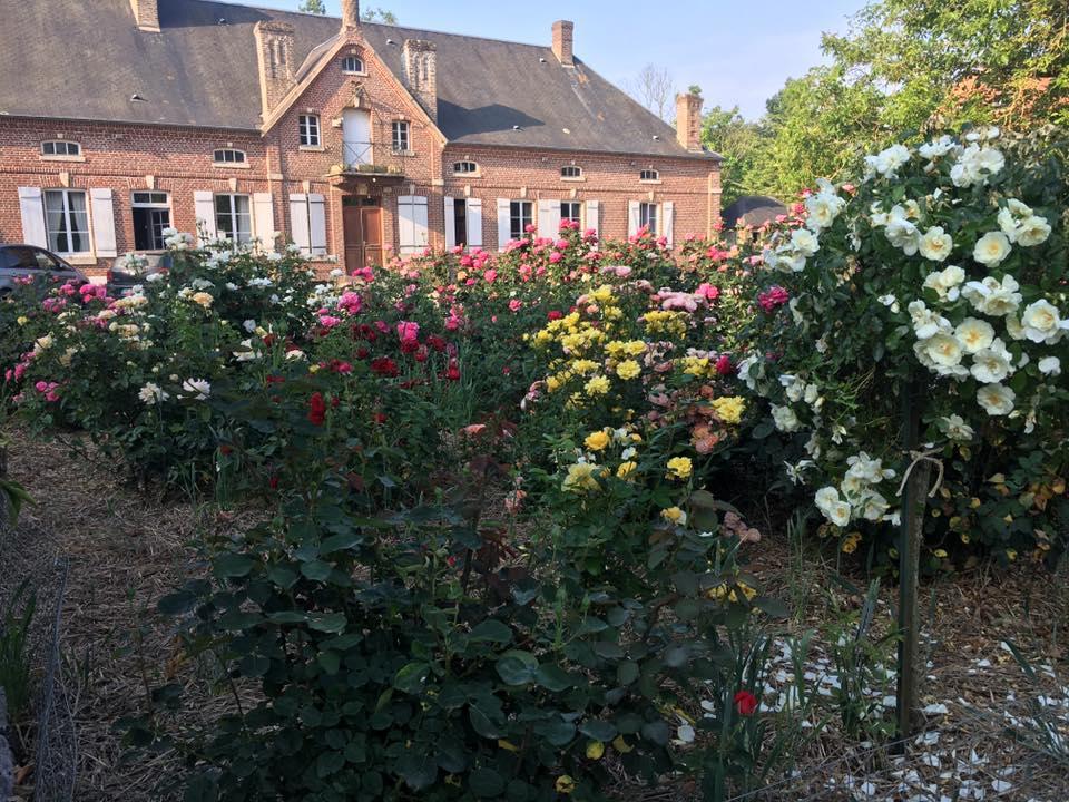 Bed and Breakfast Domaine Des Celestins Bernay-en-Ponthieu Exteriér fotografie